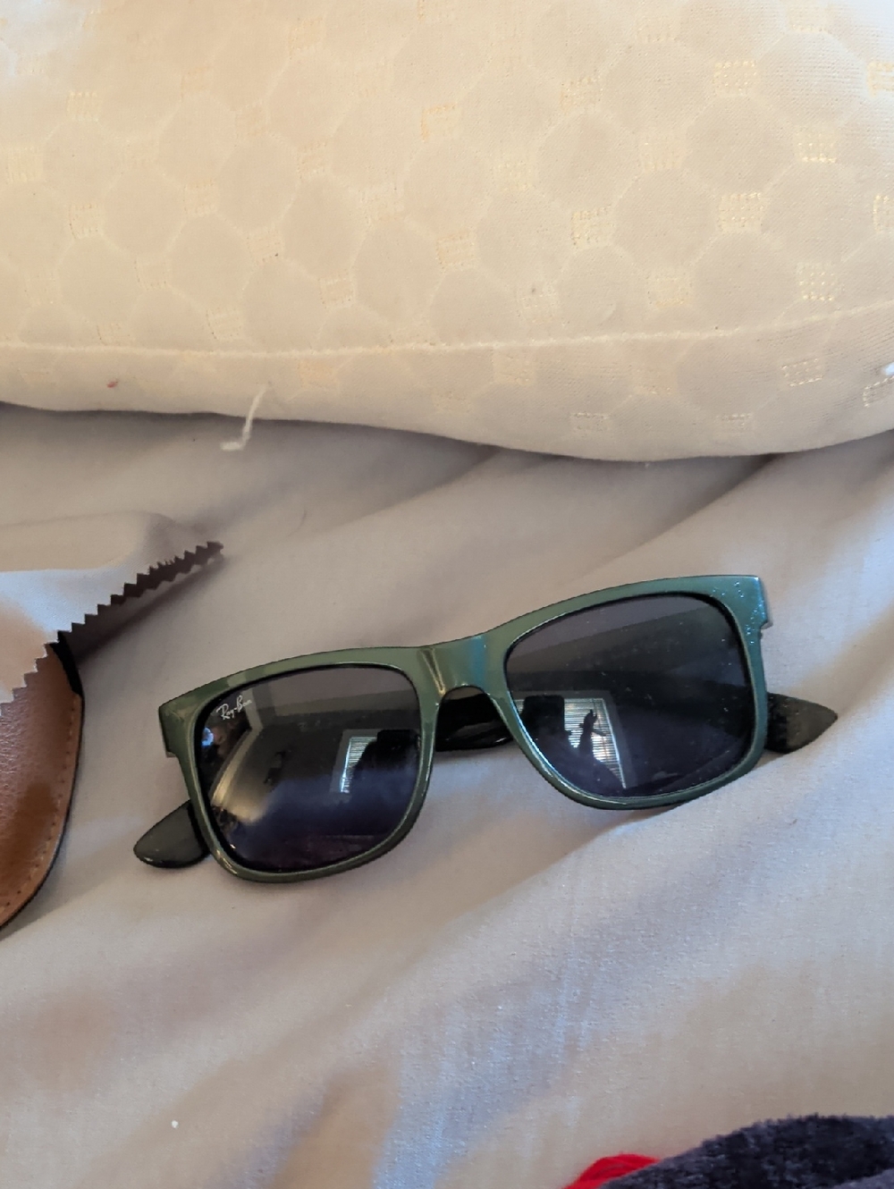 Ray-Ban Green Frame Sunglasses with Dark Lenses - Wayfarer Style